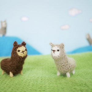 Deze twee alpaca's
